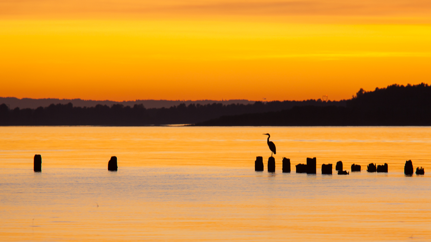 Columbia River